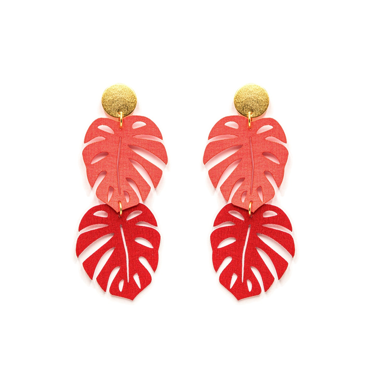 MONSTERA Rojo