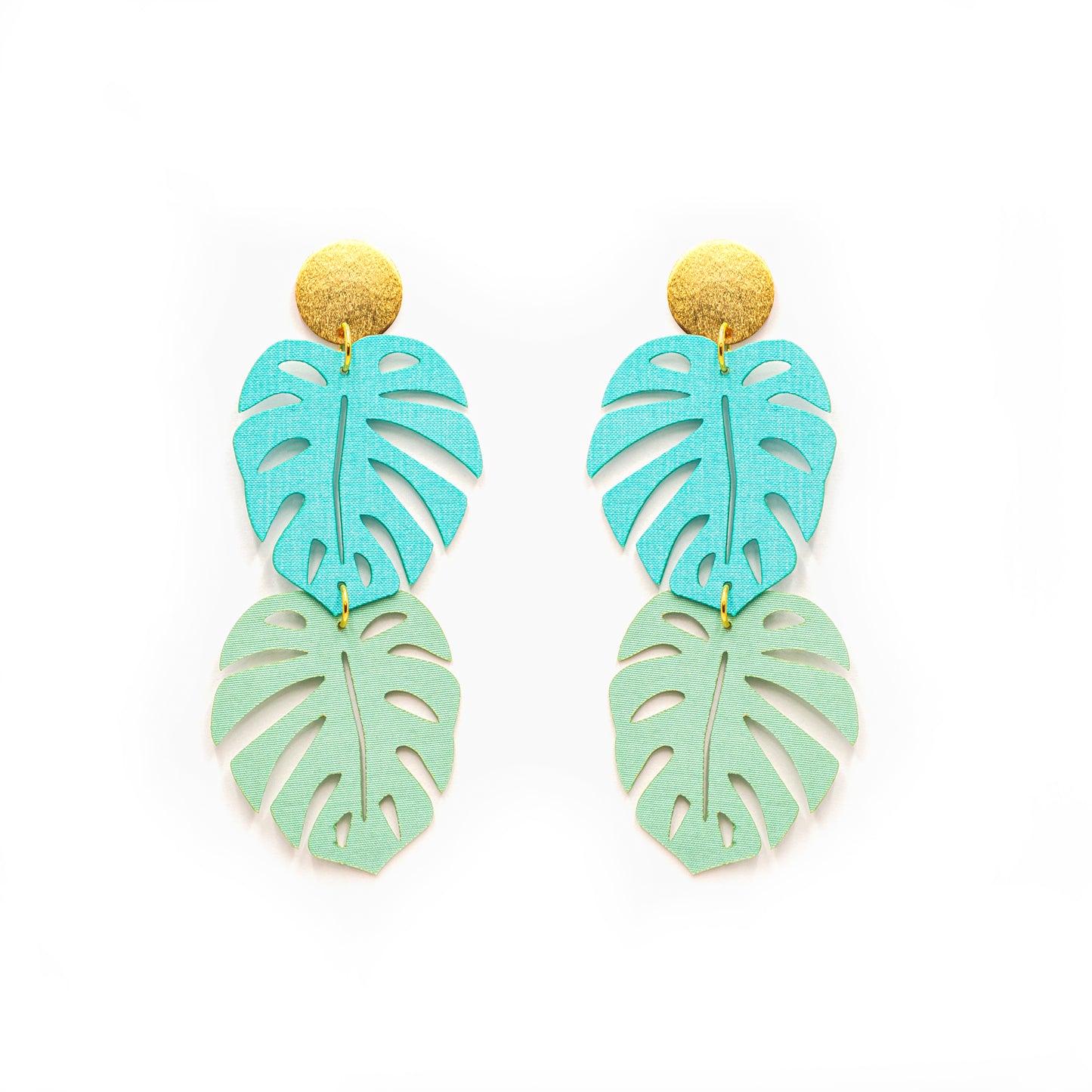 MONSTERA Jade