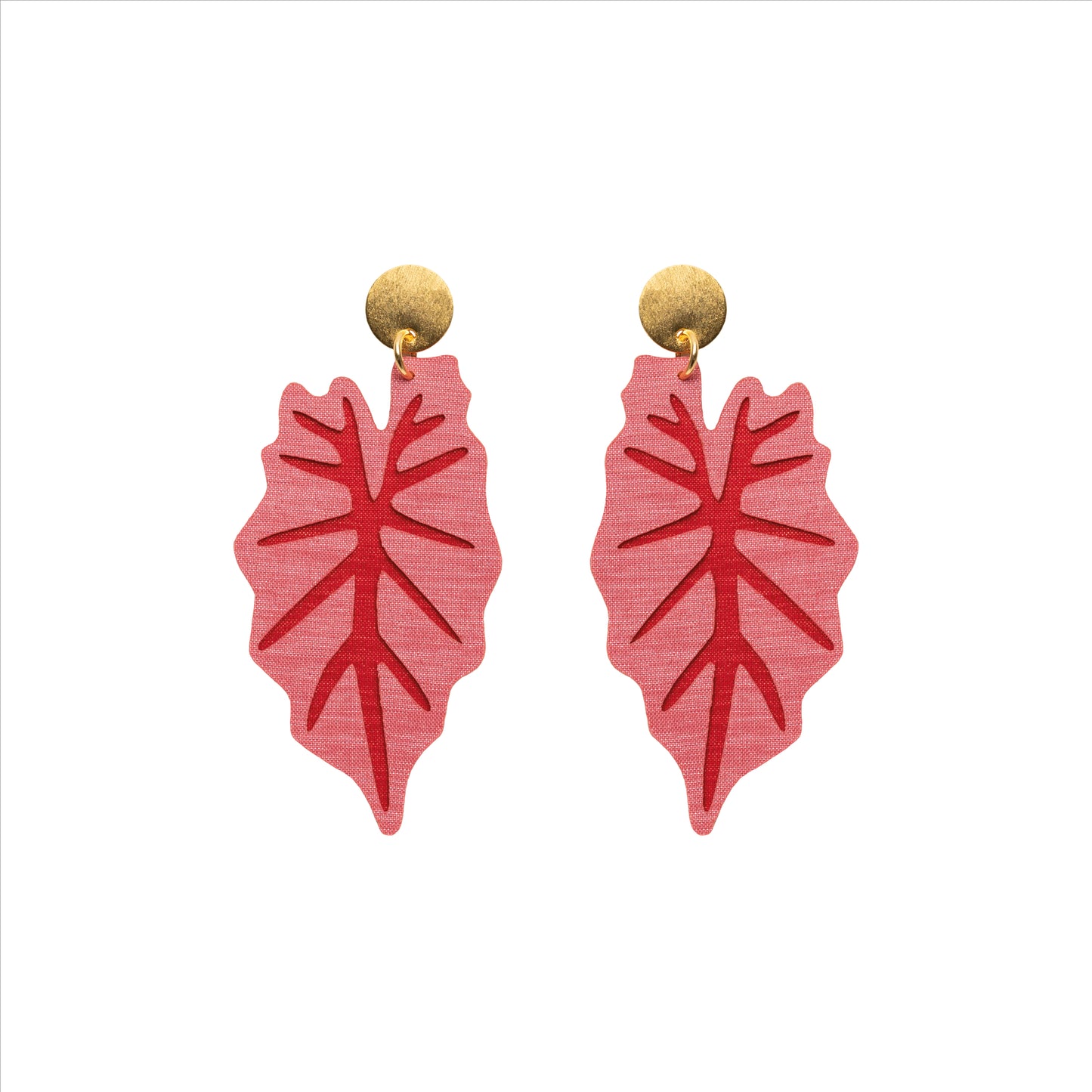 CALADIUM Rosado - Rojo